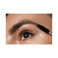 Beautiful Brows Kit